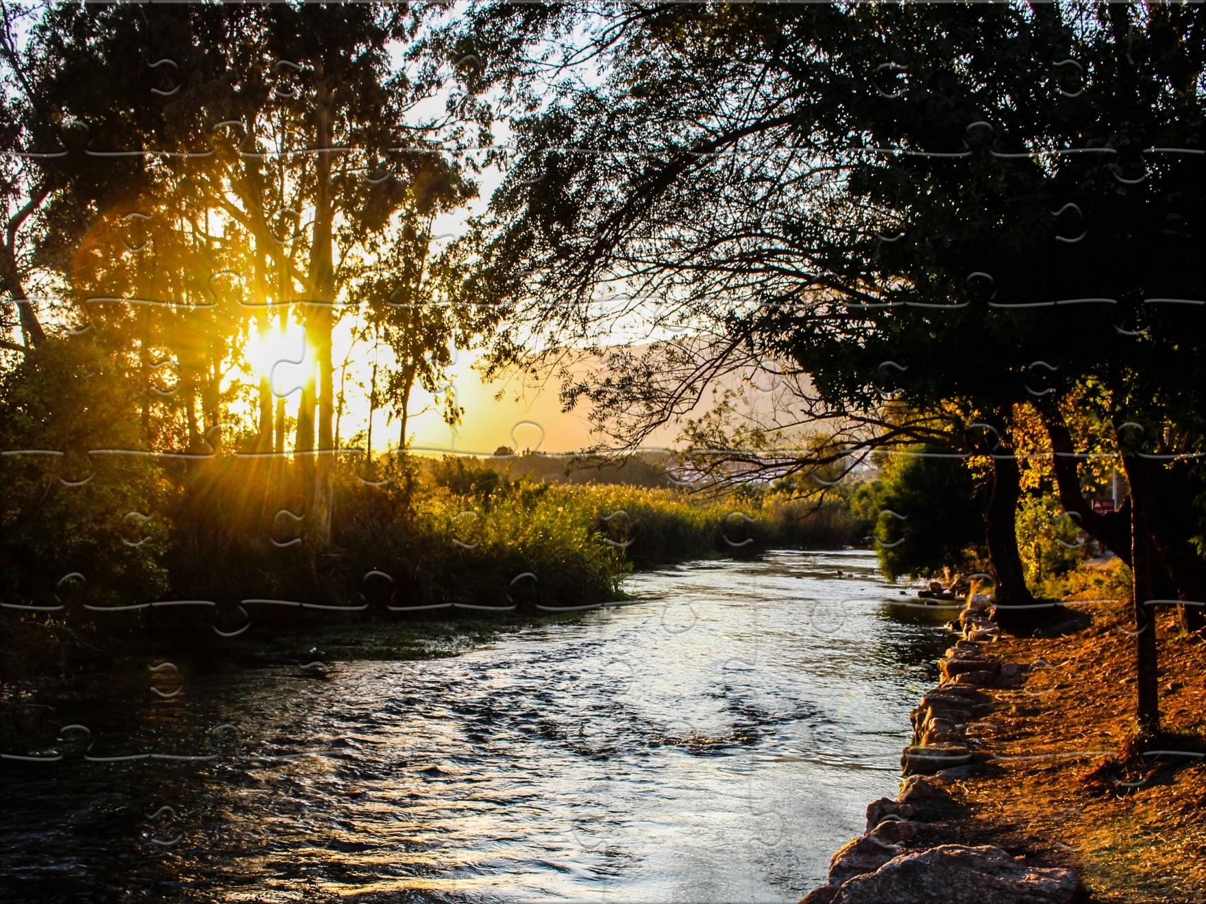 Реку реку звучание. Река солнце деревья. Речка фото. Лес речка солнце. Лес солнце вода.
