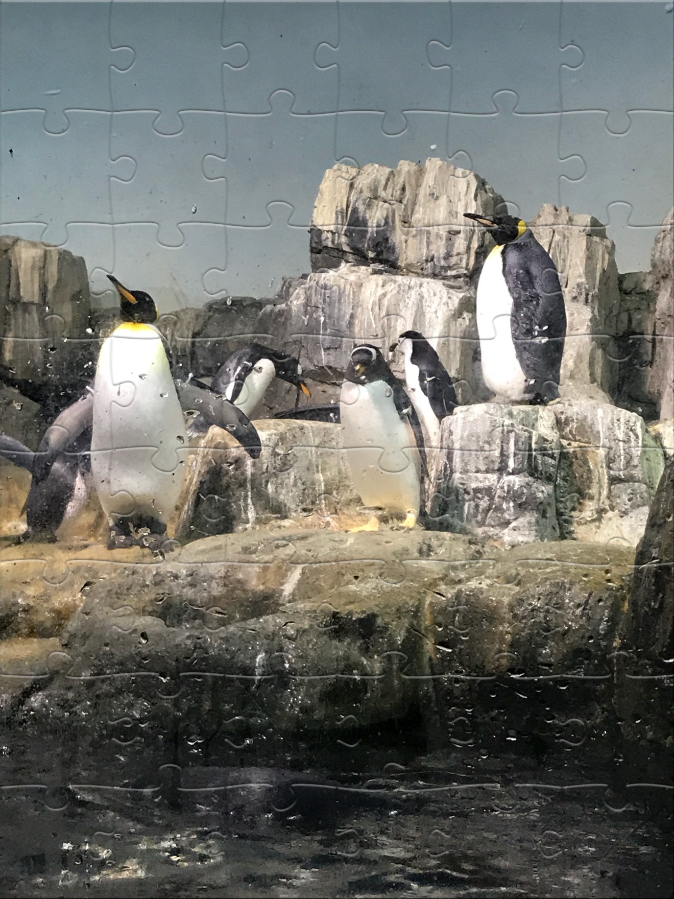 48 Pieces — Completed Jigsaw Puzzle “penguins”